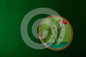 Round mirror with flower reflection against green background