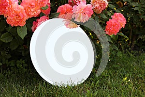 Round mirror on grass near beautiful flowers