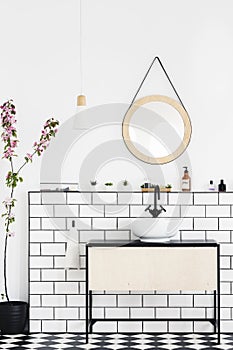 Round mirror on white wall above washbasin in modern bathroom interior with plant. Real photo