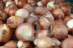 Round onions in the market