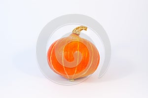 Round Orange cucurbit