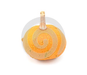 Round ornamental gourd with bright orange skin