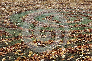Round patterns made with autumn leaves