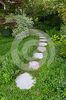 Round Pavers Create a Pathway in a Lush Green Garden 2