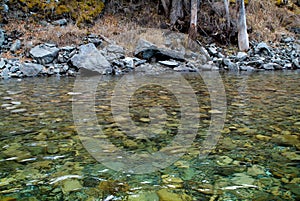 Round pebbles under clear water