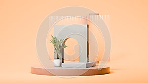 Round podium display, gray wall with hole, small palm tree in vase and square showcase on pale orange background