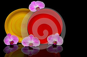 Round porcelain dinner plates decorated with pink orchids against black backdrop