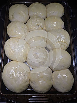 15 round raw egg dough balls on a pan proofing photo