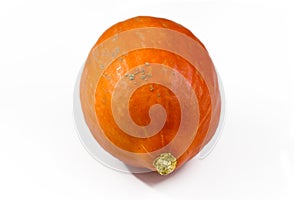 Round `Red Kuri` squash, also called `Hokkaido` squash, a round orange autum vegetable with thik skin on white background