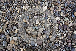 Round river rocks