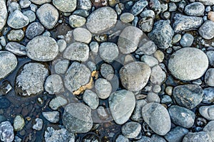 Round River Rocks Background 2