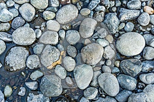 Round River Rocks Background 3