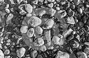 Round River Rocks Background 4