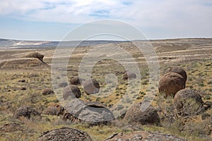 Round rocks in Ustyurt Plateau, Mangystau Region, the southwestern Kazakhstan. It used to be the bottom of the sea called Tethys