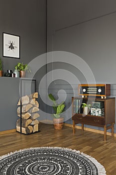 Round rug in grey retro living room interior with radio on cabin