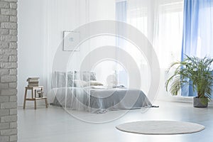 Round rug near bed under veil in blue and white bedroom interior