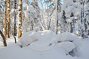 The round sculpture snow in the forest