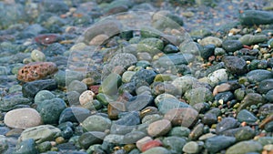 Round Sea Pebbles Are Washed By Clean Transparent Sea Waves. Small Sea Foam Waves.