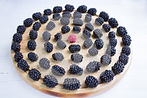 Round set of many blackberries and raspberry on wooden tray
