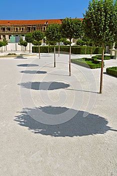 Round shadow from trees in Baroque Garden in Bratislava castle, Bratislava, Slovakia