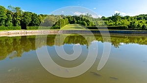 Round shape manmade pond with fish in a french classical garden (Vaux-le-Vicomte