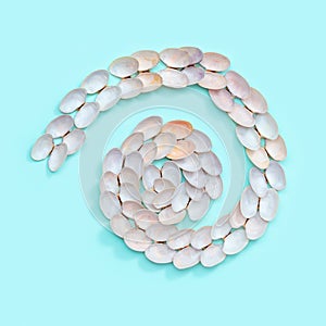 Round shape from natural seashells on blue paper. Summer design concept with shells