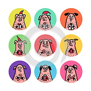 Round shape stickers set. Funny pigs with candy canes, gifts and santa hats. 2019 Chinese New Year symbols. Doodle style