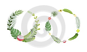 Round Shaped Frame with Green Tropical Leaves and Jungle Foliage Vector Set