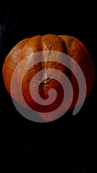 Round shaped orange pumpkin with textured surface on black background.