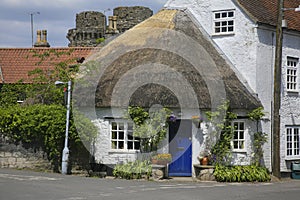 Round shaped thatched roof house