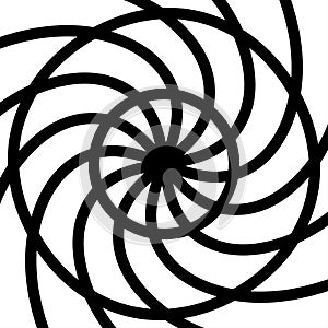 Round shapes swirl design template shell pattern
