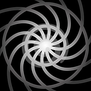 Round shapes swirl design template shell pattern