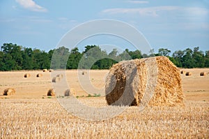 Round sheaves of hay on a summer field, against the background of the forest and the blue sky. Harvesting in the fields. Nature of