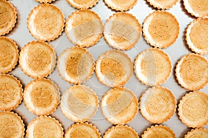 Round shortbread biscuits in rows. Food background.