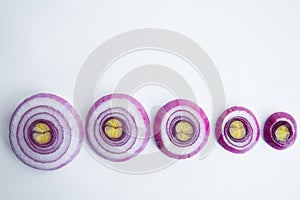 Round slices of red onion isolated on a white background, top view. from large to smaller. space for text