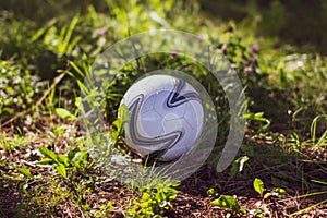 Round soccer ball in the forest, in the grass