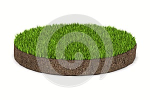 Round soil ground with green grass on white background. Isolated 3D illustration