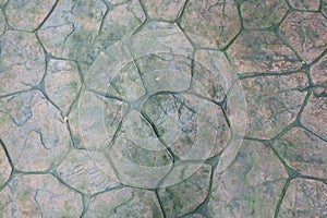 Round Stone with Moss Floor Texture Background. Patio Pavers Cir