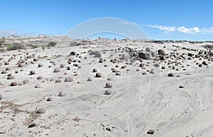 Round stones balls in Ischigualasto, Valle de la Luna photo