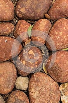 Round stones isolated image for background use