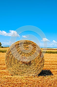 Round straw bale in a crop field in Spain after harvesting