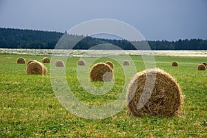 Round straw bales