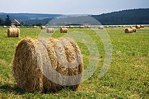 Round straw bales