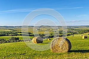 Round Straw Bales in the Alberta Foothills