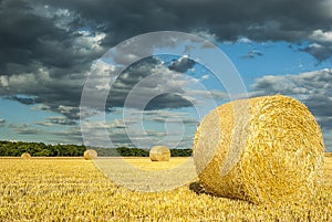 Round straw bales on mown grain field against dramatic sky with