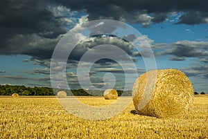 Round straw bales on mown grain field against dramatic sky with