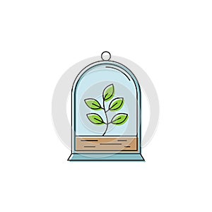Round terrarium with plant flower vector icon symbol isolated on white background