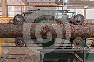 Processing of round timber logs for building wooden house. Removing bark from logs using a machine. Pattern of logs