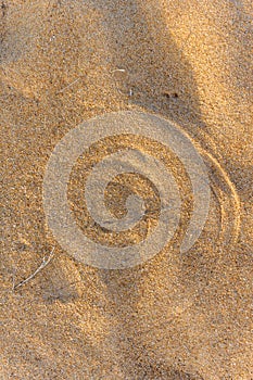 Round traces of grass in the sand.