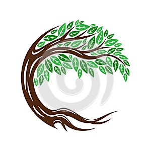 Round tree icon with leaves and roots.